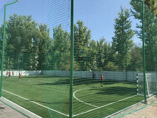 Поле на Кутузовской